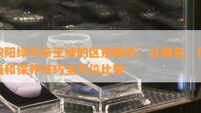 浓阳绿与帝王绿的区别解析：从颜色、价值和保养技巧全方位比较