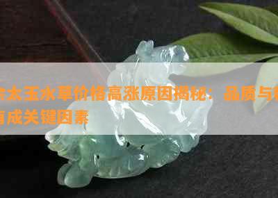 佘太玉水草价格高涨原因揭秘：品质与稀有成关键因素