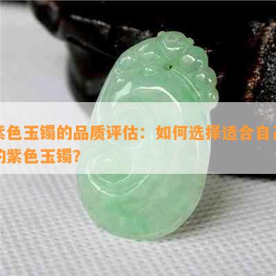 紫色玉镯的品质评估：如何选择适合自己的紫色玉镯？