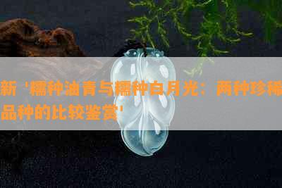 新 '糯种油青与糯种白月光：两种珍稀品种的比较鉴赏'