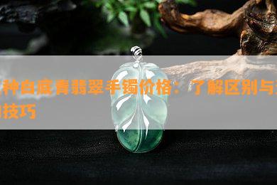 豆种白底青翡翠手镯价格：了解区别与选购技巧