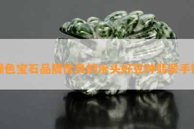 绿色宝石品质优良的水头好豆种翡翠手镯