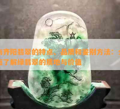 南齐阳翡翠的特点、品质和鉴别方法：全面了解绿翡翠的质地与价值