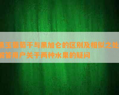 黑玉葡萄干与黑加仑的区别及相似之处：解答用户关于两种水果的疑问