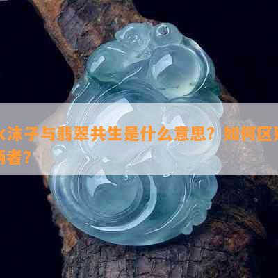 水沫子与翡翠共生是什么意思？如何区别两者？