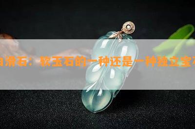 白滑石：软玉石的一种还是一种独立宝石？