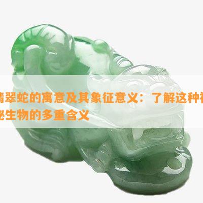 翡翠蛇的寓意及其象征意义：了解这种神秘生物的多重含义