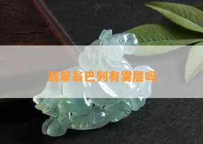 翡翠翁巴列有雾层吗