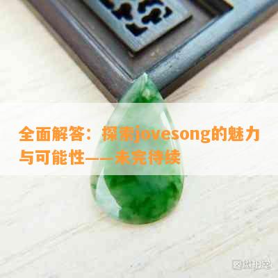 全面解答：探索jovesong的魅力与可能性——未完待续