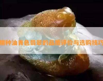 糯种油青色翡翠的品质评价与选购技巧