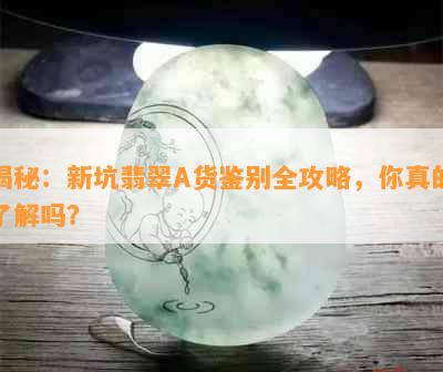 揭秘：新坑翡翠A货鉴别全攻略，你真的了解吗？