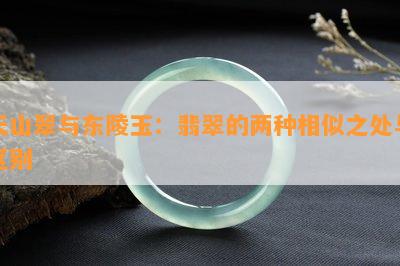 天山翠与东陵玉：翡翠的两种相似之处与区别