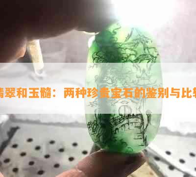 翡翠和玉髓：两种珍贵宝石的鉴别与比较