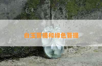 白玉菩提和绿色菩提