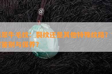 翡翠牛毛纹：裂纹还是其他特殊纹路？如何鉴别与保养？