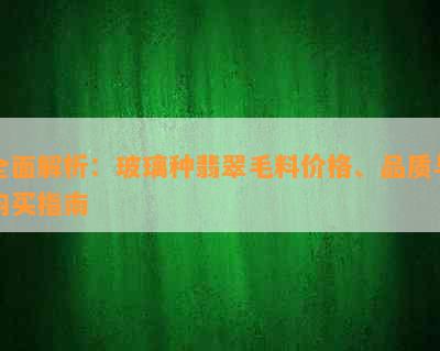 全面解析：玻璃种翡翠毛料价格、品质与购买指南