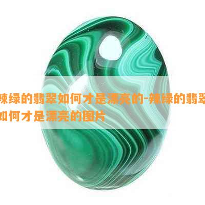 辣绿的翡翠如何才是漂亮的-辣绿的翡翠如何才是漂亮的图片