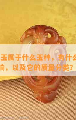 '天山翠玉属于什么玉种，有什么特性和健康影响，以及它的质量分类？'