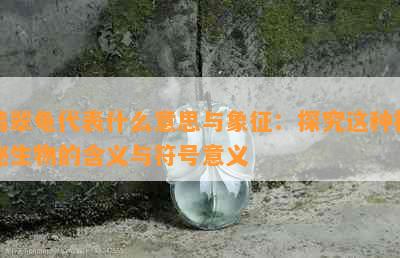 翡翠龟代表什么意思与象征：探究这种神秘生物的含义与符号意义