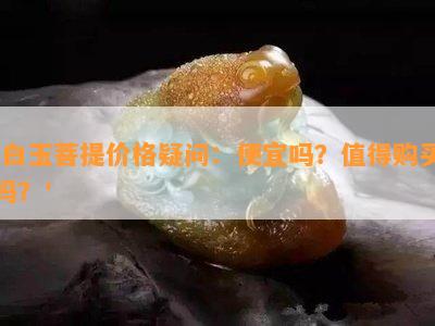 '白玉菩提价格疑问：便宜吗？值得购买吗？'