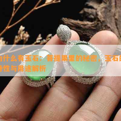 为什么有玉石：菩提果里的秘密，玉石的特性与用途解析