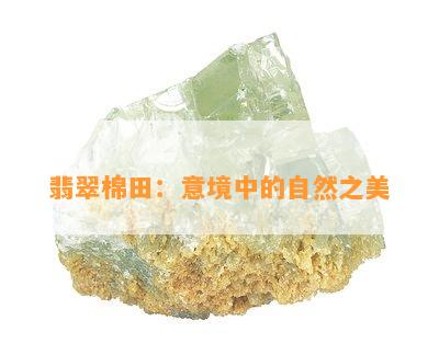 翡翠棉田：意境中的自然之美