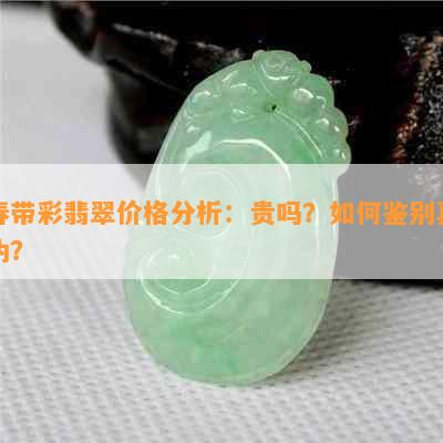 春带彩翡翠价格分析：贵吗？如何鉴别真伪？