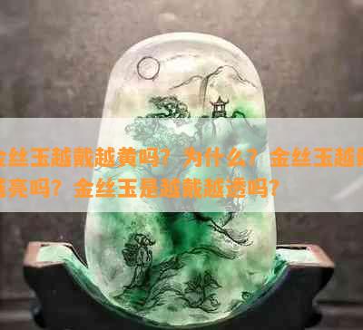 金丝玉越戴越黄吗？为什么？金丝玉越戴越亮吗？金丝玉是越戴越透吗？