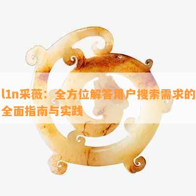 l1n采薇：全方位解答用户搜索需求的全面指南与实践