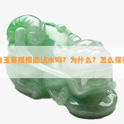 白玉菩提根能沾水吗？为什么？怎么保养？