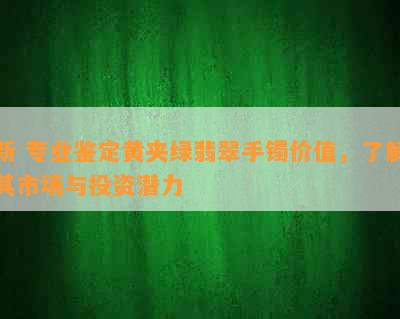 新 专业鉴定黄夹绿翡翠手镯价值，了解其市场与投资潜力