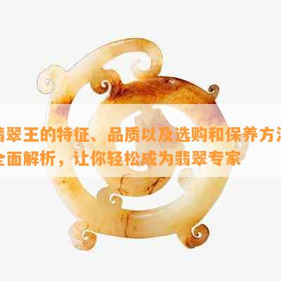 翡翠王的特征、品质以及选购和保养方法全面解析，让你轻松成为翡翠专家