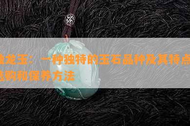 独龙玉：一种独特的玉石品种及其特点、选购和保养方法