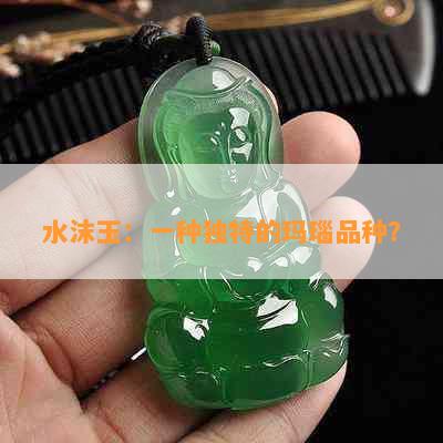 水沫玉：一种独特的玛瑙品种？