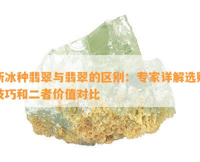 新冰种翡翠与翡翠的区别：专家详解选购技巧和二者价值对比