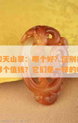 冰山翠和天山翠：哪个好？区别在哪？哪个贵？哪个值钱？它们是一样的吗？